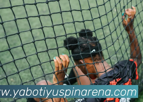 亚博体育APP 封面图